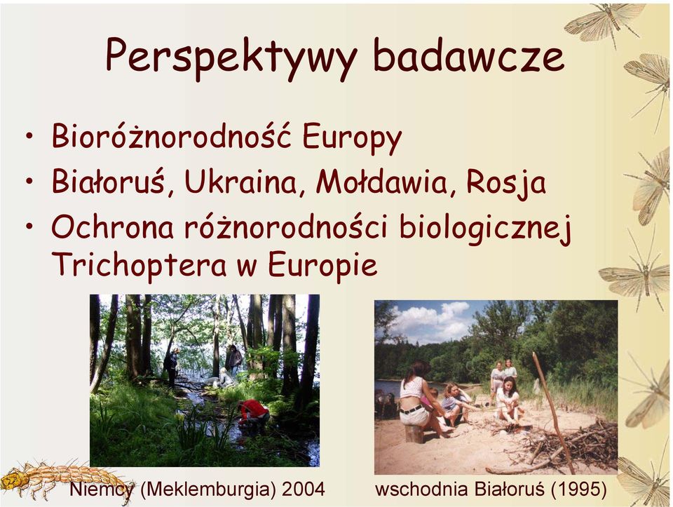 różnorodności biologicznej Trichoptera w