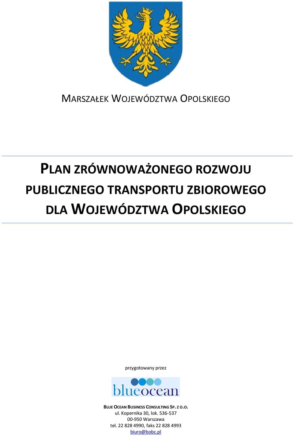 przygotowany przez BLUE OCEAN BUSINESS CONSULTING SP. Z O.O. ul.