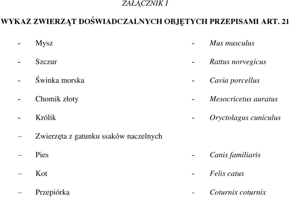 porcellus - Chomik złoty - Mesocricetus auratus - Królik - Oryctolagus cuniculus