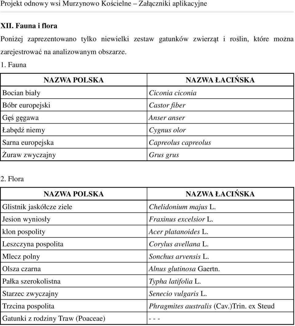 Fauna NAZWA POLSKA Bocian biały Bóbr europejski Gęś gęgawa Łabędź niemy Sarna europejska Żuraw zwyczajny NAZWA ŁACIŃSKA Ciconia ciconia Castor fiber Anser anser Cygnus olor Capreolus capreolus Grus