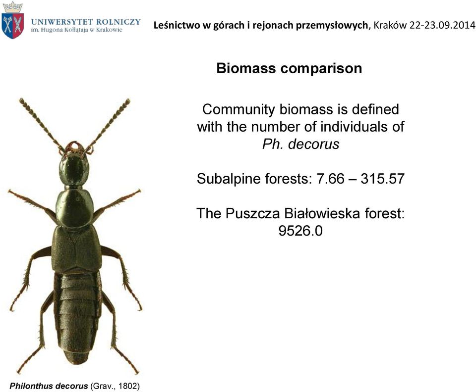 decorus Subalpine forests: 7.66 315.