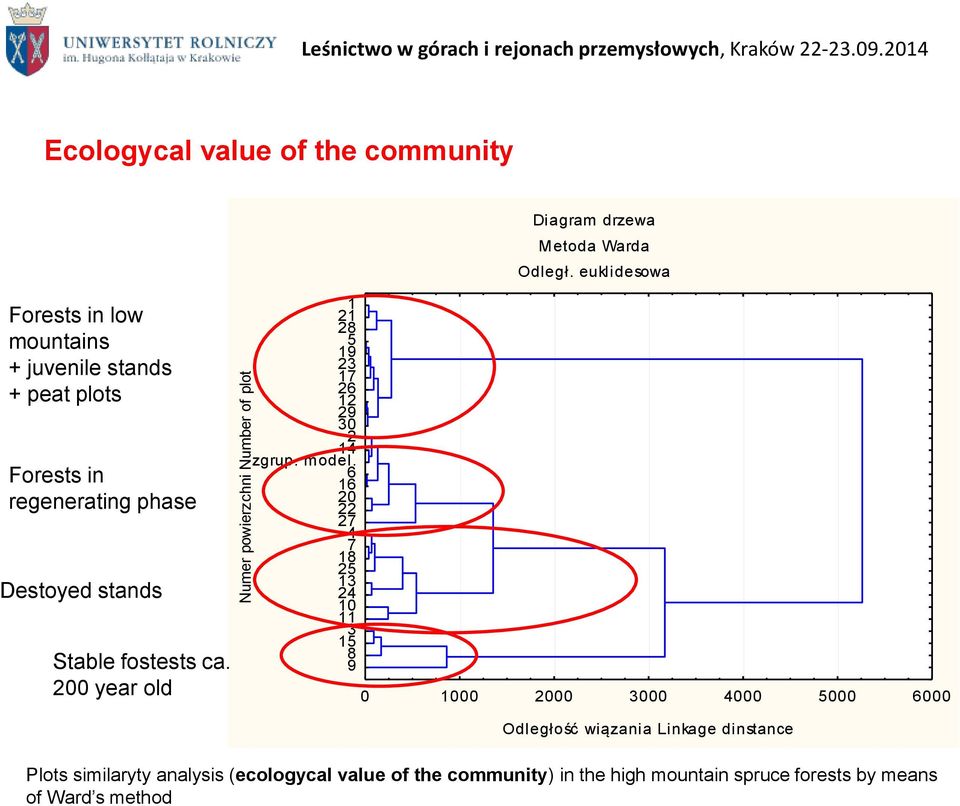 16 6 20 22 27 18 74 25 13 24 10 11 15 3 8 9 Diagram drzewa Metoda Warda Odległ.