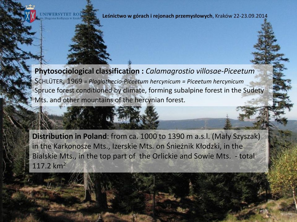 and other mountains of the hercynian forest. Distribution in Poland: from ca. 1000 to 1390 m a.s.l. (Mały Szyszak) in the Karkonosze Mts.