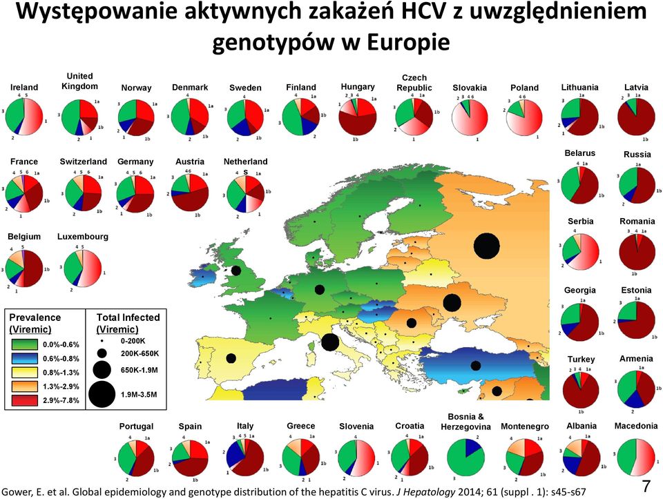 6%0.8% 0.8%1.3% Total Infected (Viremic) 0200K 200K650K 650K1.9M Turkey Armenia 1.3%2.9% 2.9%7.8% 1.9M3.