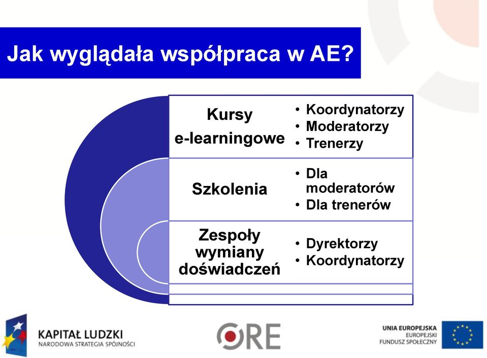 wymiany doświadczeń Koordynatorzy