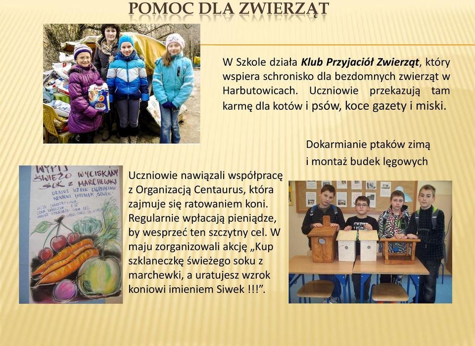 Uczniowie nawiązali współpracę z Organizacją Centaurus, która zajmuje się ratowaniem koni.