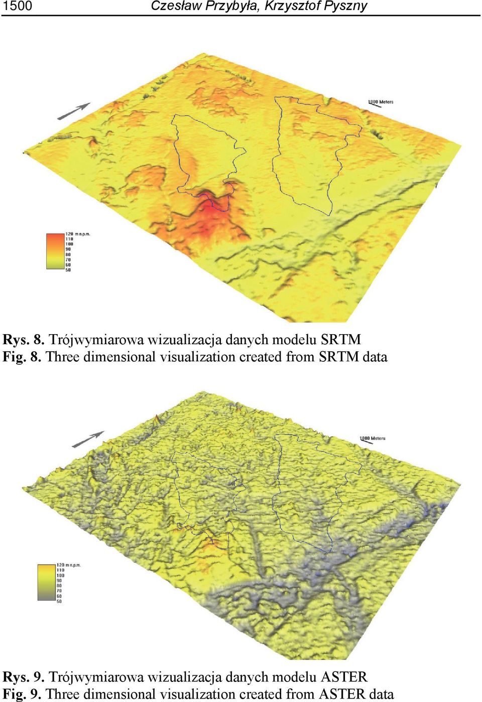 Three dimensional visualization created from SRTM data Rys. 9.