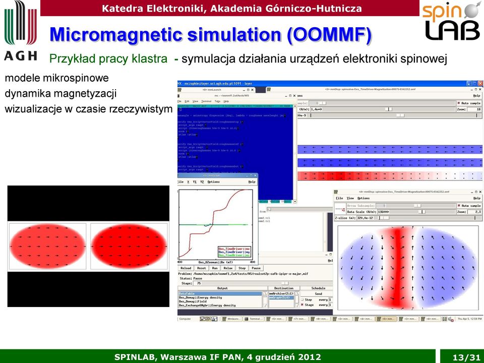 mikrospinowe dynamika magnetyzacji wizualizacje w czasie