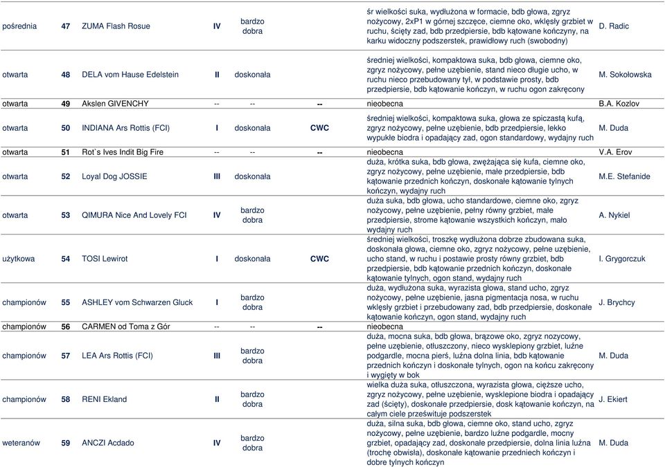 Radic otwarta 48 DELA vom Hause Edelstein II doskonała średniej wielkości, kompaktowa suka, bdb głowa, ciemne oko, zgryz nożycowy, pełne uzębienie, stand nieco długie ucho, w ruchu nieco przebudowany