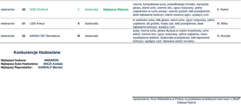 głowa, stand ucho, zgryz nożycowy, pełne uzębienie, db grzbiet, ścięty zad, bdb przedpiersie, dosk kątowanie kończyn, wydajny ruch duża, mocna suka, głowa dłuższa w części trzewiowej, ucho stand,