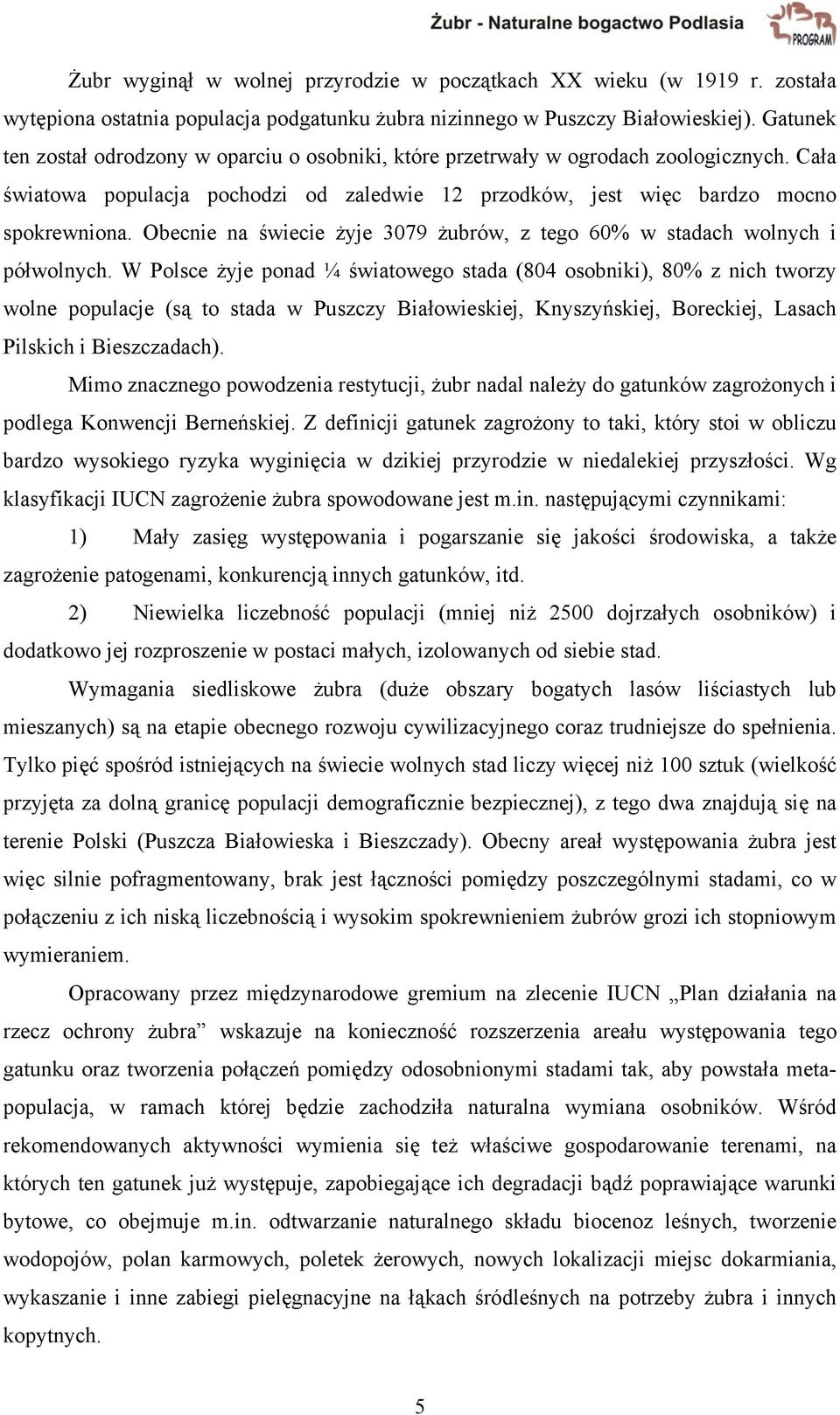 Obecnie na świecie żyje 3079 żubrów, z tego 60% w stadach wolnych i półwolnych.