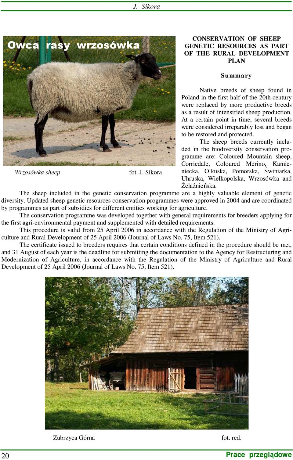 The sheep breeds currently included in the biodiversity conservation programme are: Coloured Mountain sheep, Corriedale, Coloured Merino, Kamieniecka, Olkuska, Pomorska, Świniarka, Wrzosówka sheep
