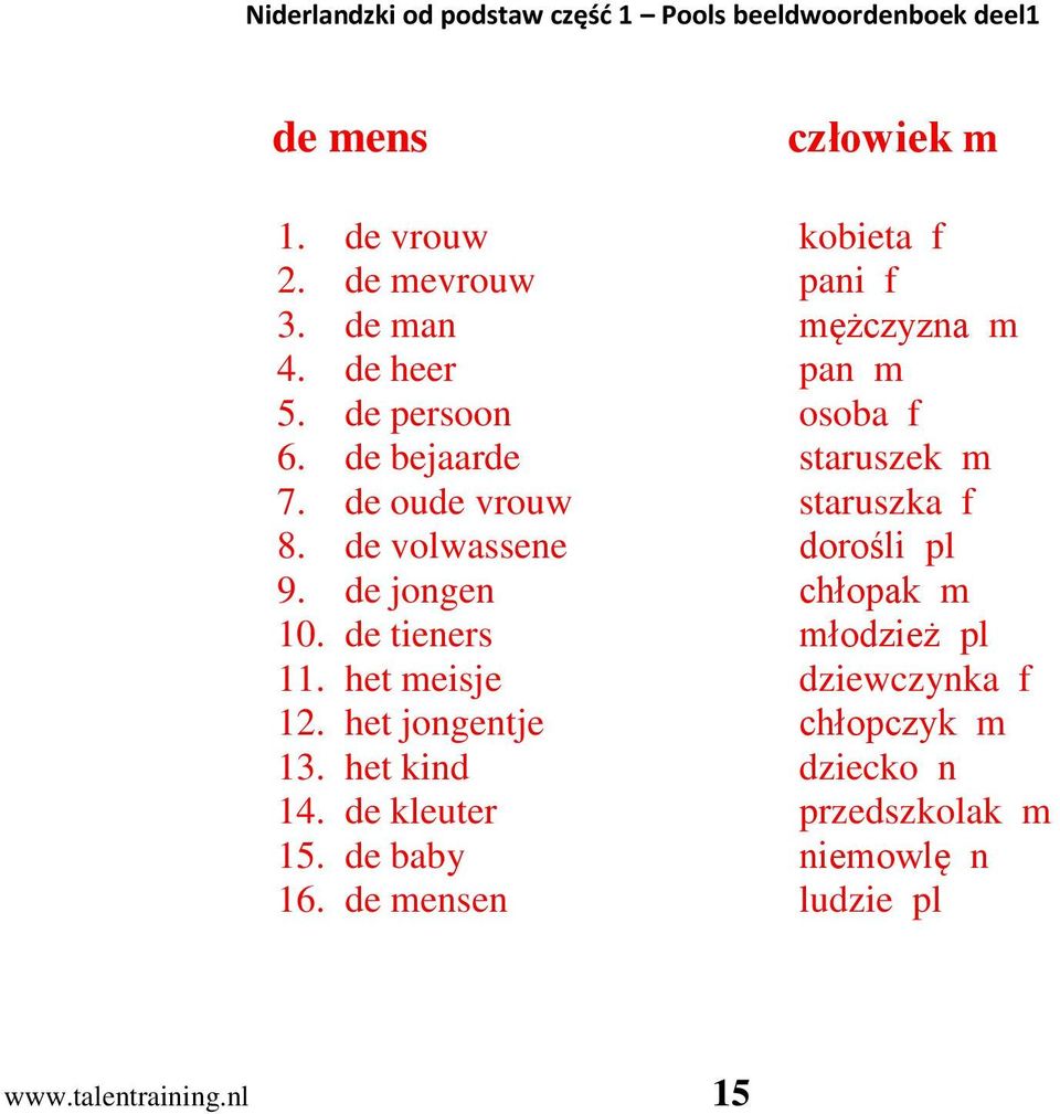 de volwassene dorośli pl 9. de jongen chłopak m 10. de tieners młodzież pl 11. het meisje dziewczynka f 12.