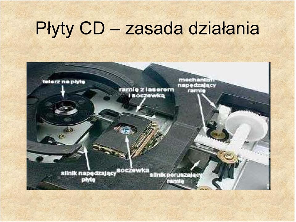 działania