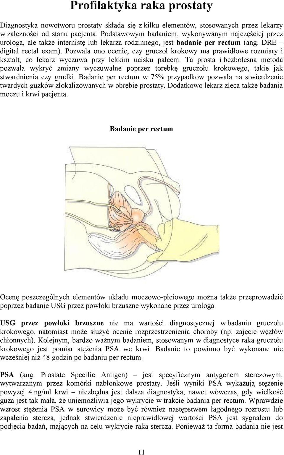 Pozwala ono ocenić, czy gruczoł krokowy ma prawidłowe rozmiary i kształt, co lekarz wyczuwa przy lekkim ucisku palcem.