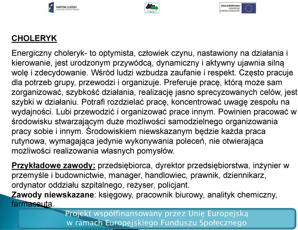 Preferuje pracę, którą może sam zorganizować, szybkość działania, realizację jasno sprecyzowanych celów, jest szybki w działaniu. Potrafi rozdzielać pracę, koncentrować uwagę zespołu na wydajności.