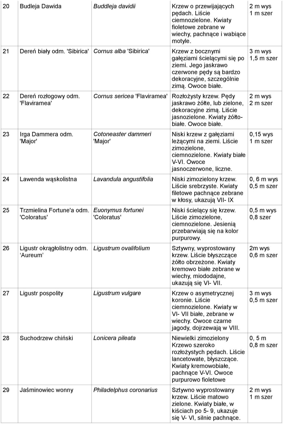 'Flaviramea' 23 Irga Dammera odm. 'Major' Cornus sericea 'Flaviramea' Rozłożysty krzew. Pędy jaskrawo żółte, lub zielone, dekoracyjne zimą. Liście jasnozielone. Kwiaty żółtobiałe. Owoce białe.