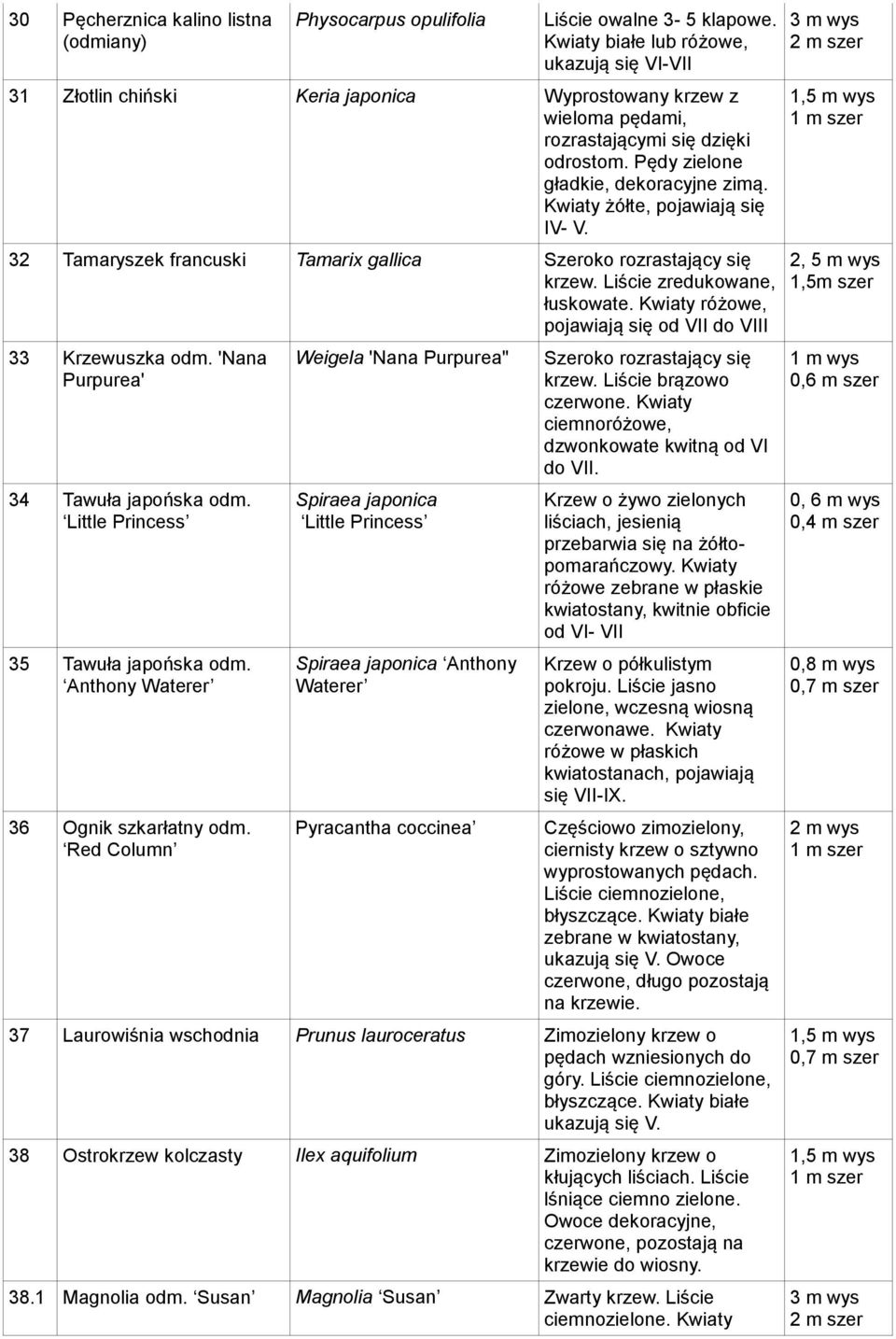 Kwiaty żółte, pojawiają się IV- V. 32 Tamaryszek francuski Tamarix gallica Szeroko rozrastający się krzew. Liście zredukowane, łuskowate. Kwiaty różowe, pojawiają się od VII do VIII 33 Krzewuszka odm.