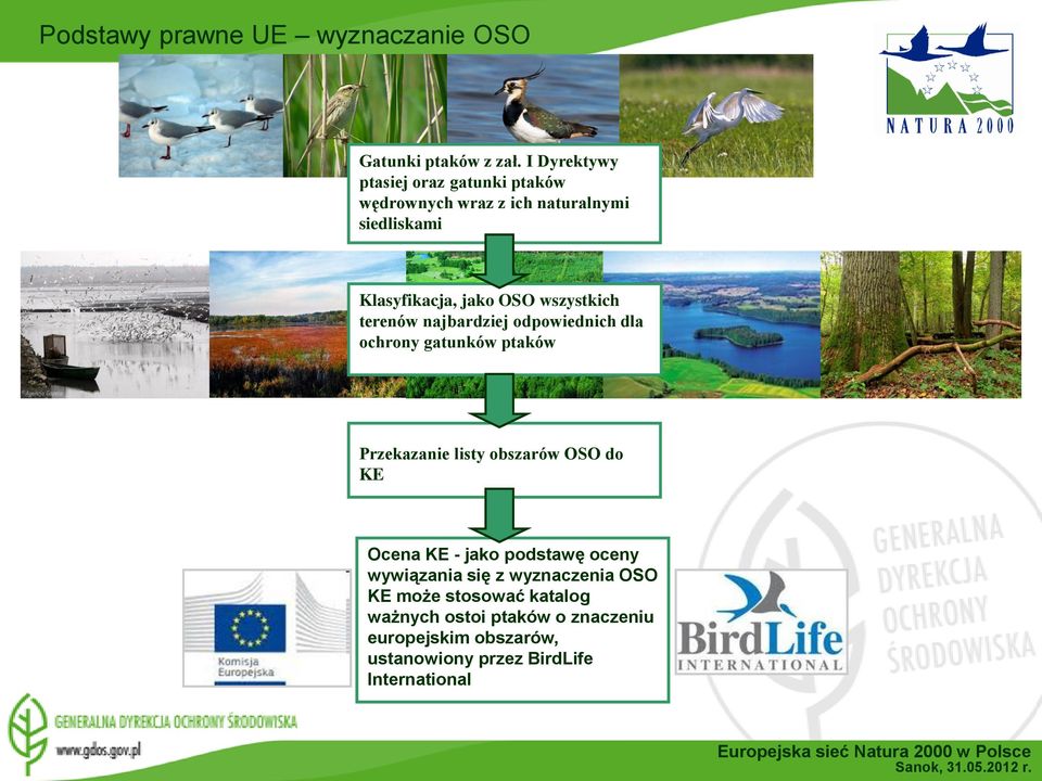 wszystkich terenów najbardziej odpowiednich dla ochrony gatunków ptaków Przekazanie listy obszarów OSO do KE Ocena