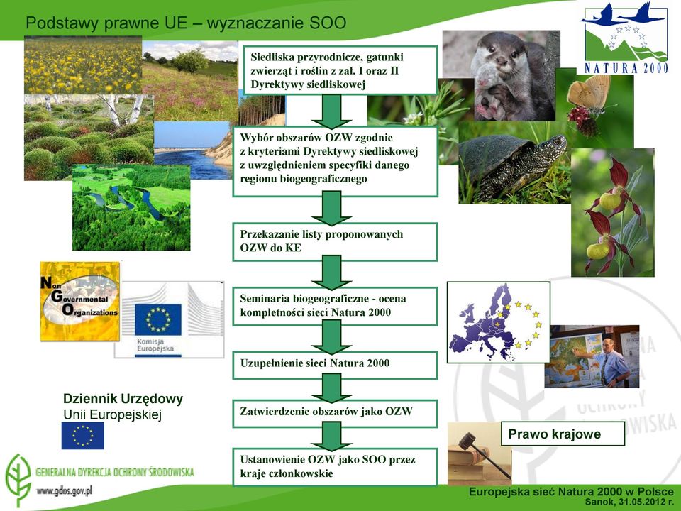 regionu biogeograficznego Przekazanie listy proponowanych OZW do KE Seminaria biogeograficzne - ocena kompletności sieci Natura