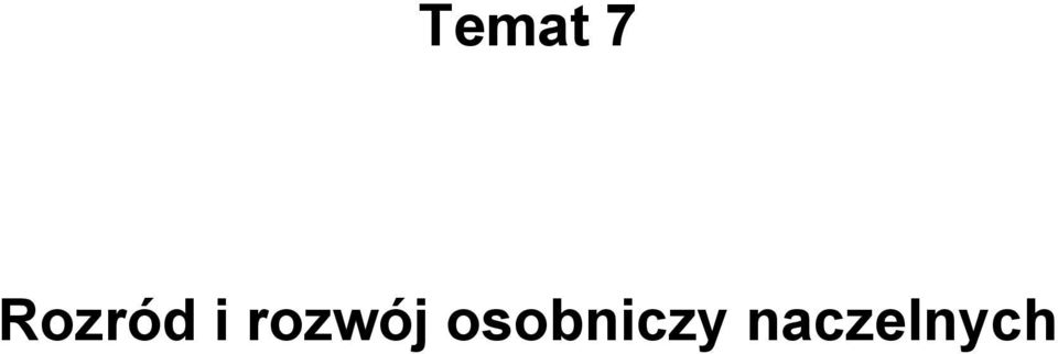 rozwój