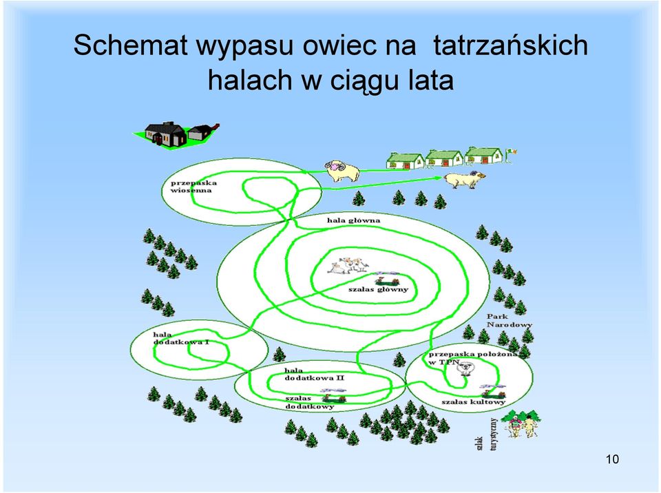 tatrzańskich