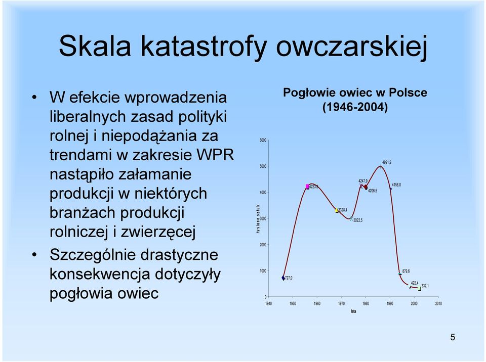 konsekwencja dotyczyły pogłowia owiec t y s i ą c e s z t u k 6000 5000 4000 3000 2000 1000 Pogłowie owiec w Polsce