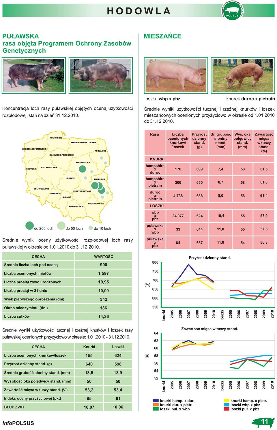 (g) Śr. grubość słoniny stand. (mm) Wys. oka polędwicy stand. (mm) Zawartość mięsa w tuszy stand.