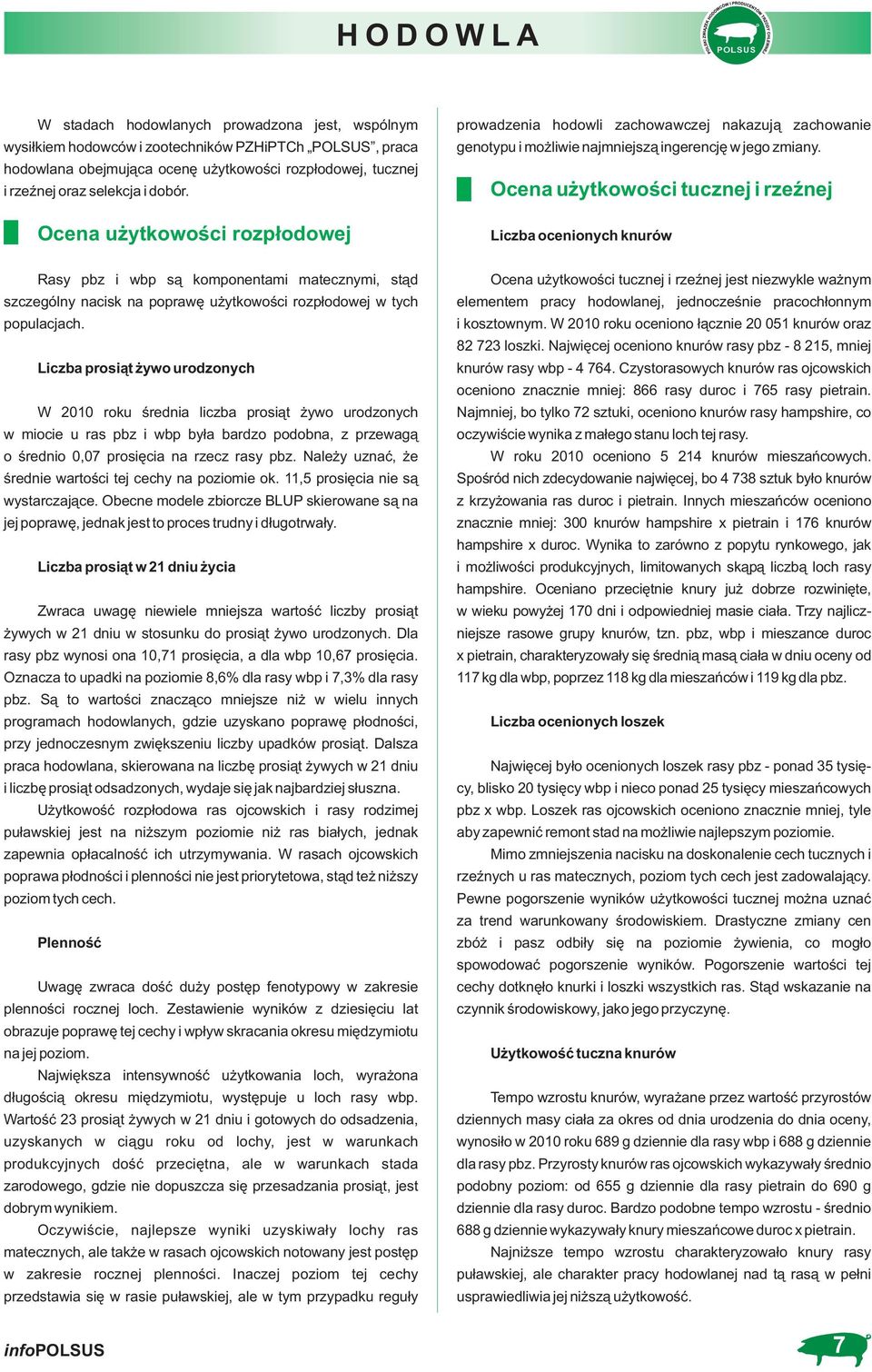 Ocena użytkowości tucznej i rzeźnej Liczba ocenionych knurów Rasy pbz i wbp są komponentami matecznymi, stąd szczególny nacisk na poprawę użytkowości rozpłodowej w tych populacjach.