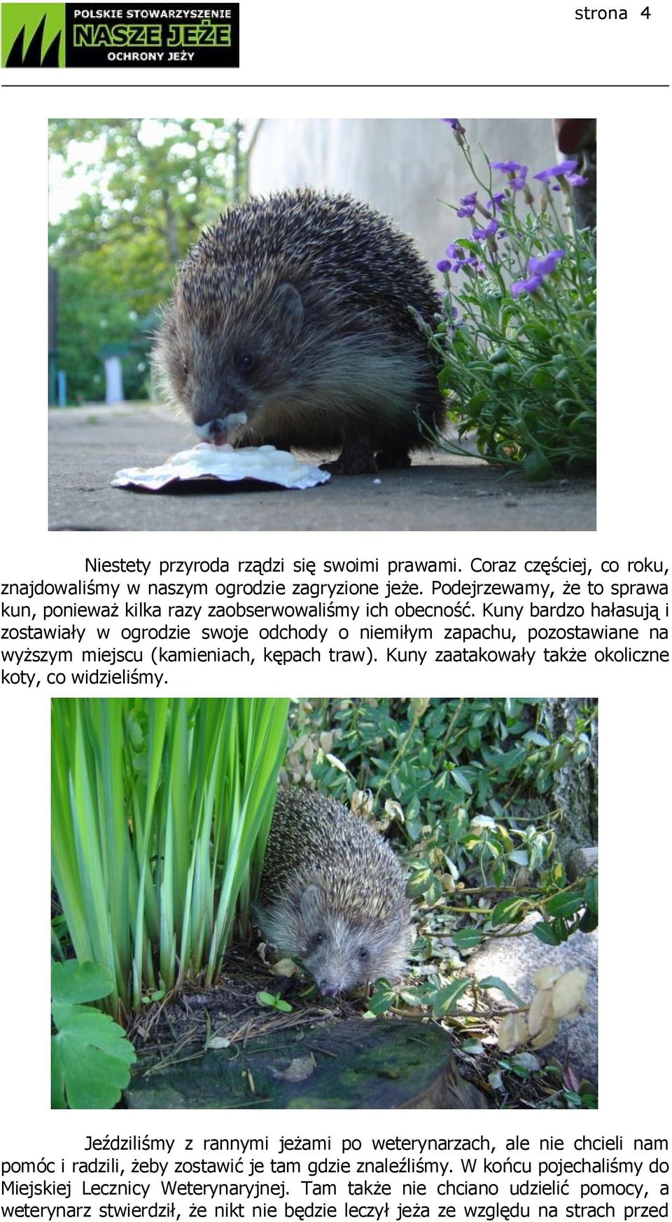 Kuny bardzo hałasują i zostawiały w ogrodzie swoje odchody o niemiłym zapachu, pozostawiane na wyższym miejscu (kamieniach, kępach traw).