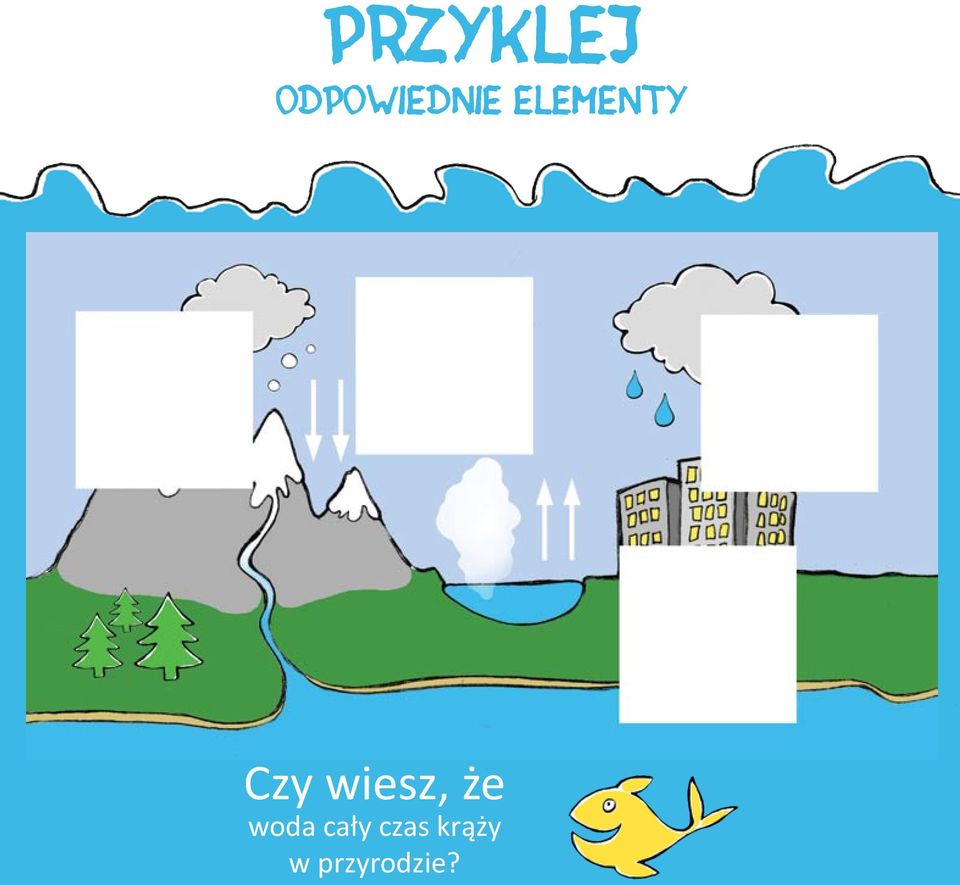 ELEMENTY Czy wiesz,