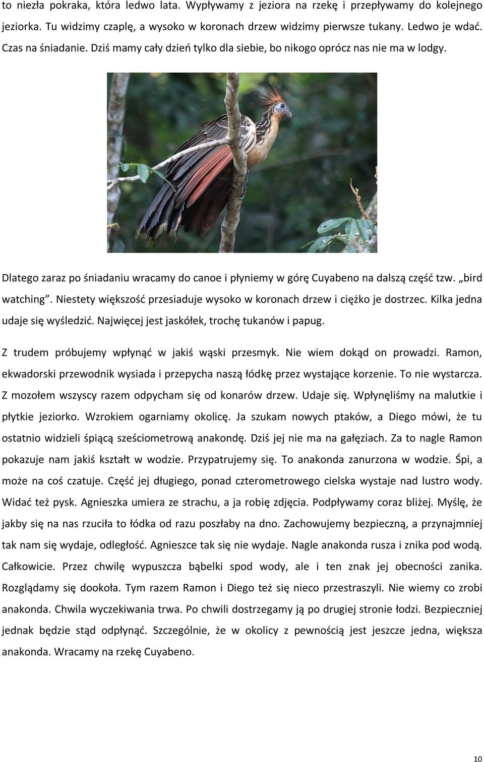 bird watching. Niestety większość przesiaduje wysoko w koronach drzew i ciężko je dostrzec. Kilka jedna udaje się wyśledzić. Najwięcej jest jaskółek, trochę tukanów i papug.