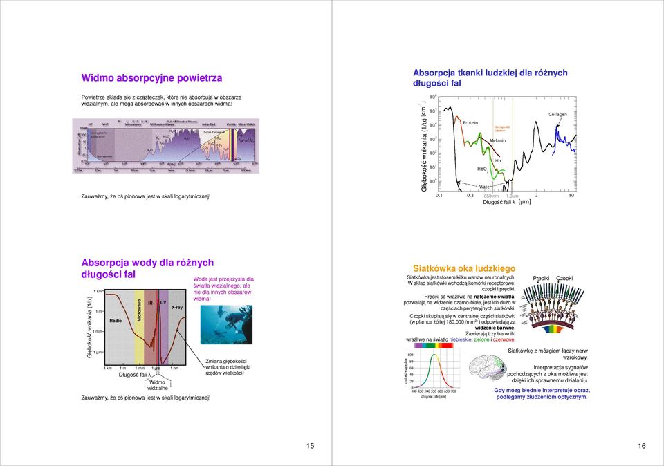 3µm Długość fali λ Absorpcja wody dla róŝnych długości fal Głębokość wnikania (1/α) 1 km 1 m 1 mm 1 µm Radio Microwave IR UV X-ray 1 km 1 m 1 mm 1 µm 1 nm Długość fali λ Widmo widzialne ZauwaŜmy, Ŝe