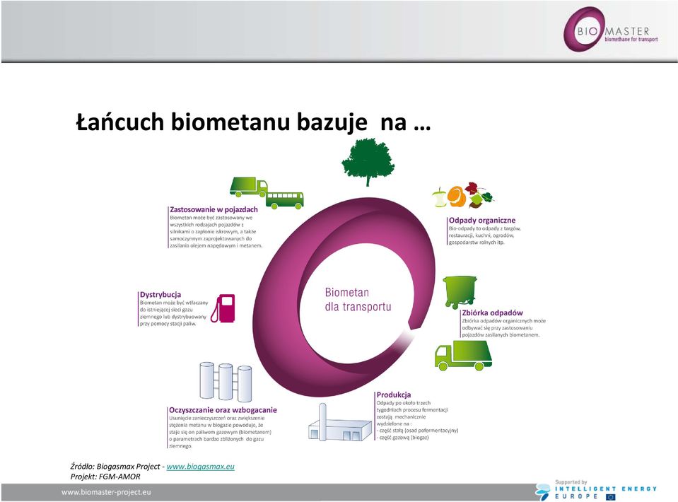 Biogasmax Project www.