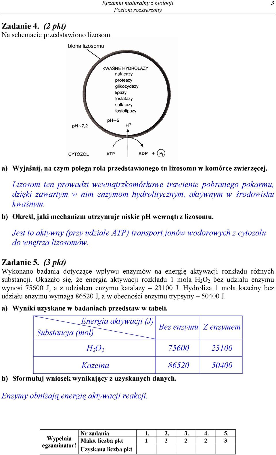 b) Określ, jaki mechanizm utrzymuje niskie ph wewnątrz lizosomu. Jest to aktywny (przy udziale ATP) transport jonów wodorowych z cytozolu do wnętrza lizosomów. Zadanie 5.