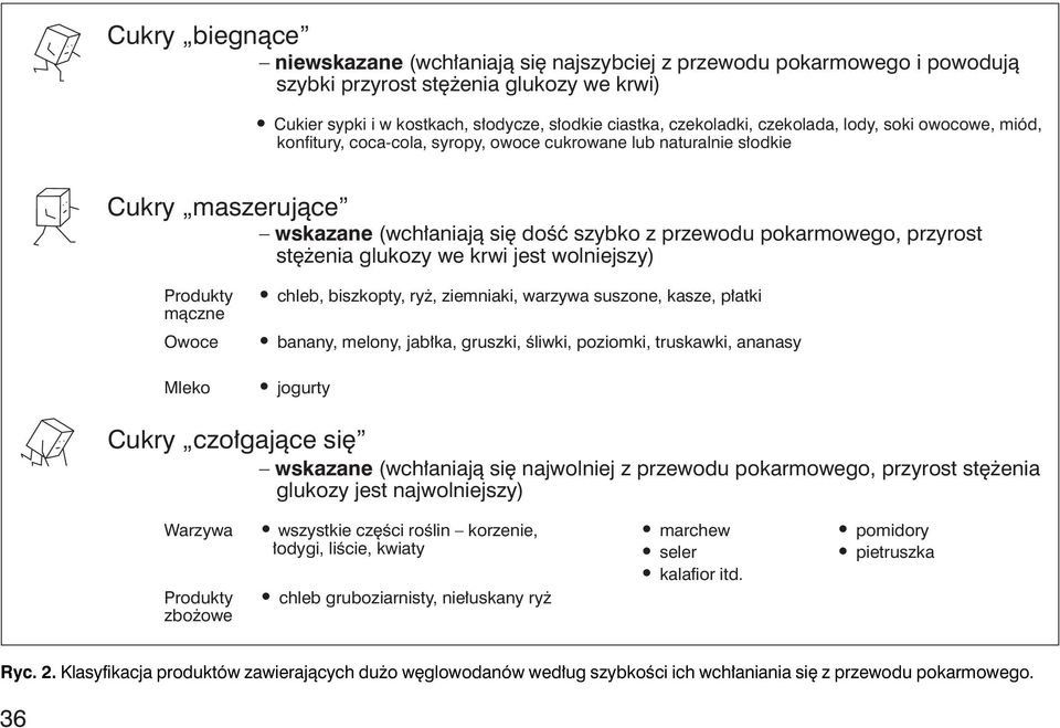 enia glukozy we krwi jest wolniejszy) Produkty màczne Owoce Mleko chleb, biszkopty, ry, ziemniaki, warzywa suszone, kasze, p atki banany, melony, jab ka, gruszki, Êliwki, poziomki, truskawki, ananasy