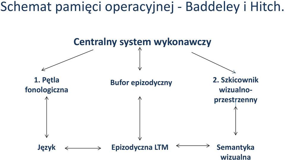 Pętla fonologiczna Bufor epizodyczny 2.