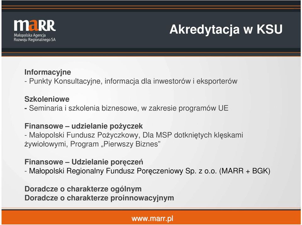 Pożyczkowy, Dla MSP dotkniętych klęskami żywiołowymi, Program Pierwszy Biznes Finansowe Udzielanie poręczeń -