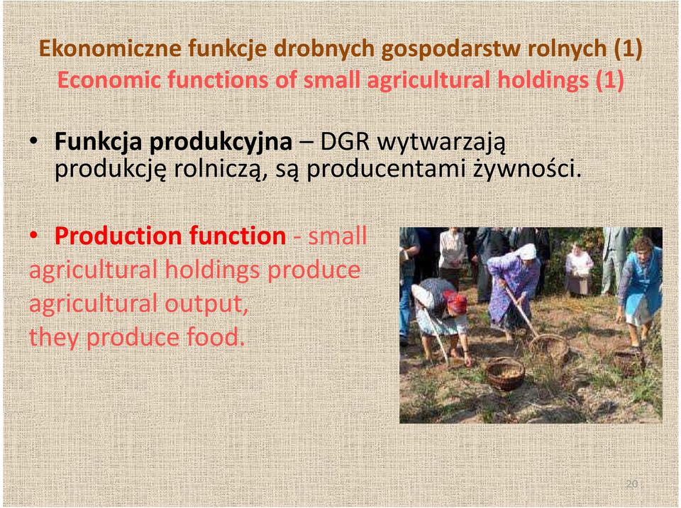 produkcję rolniczą, są producentami żywności.