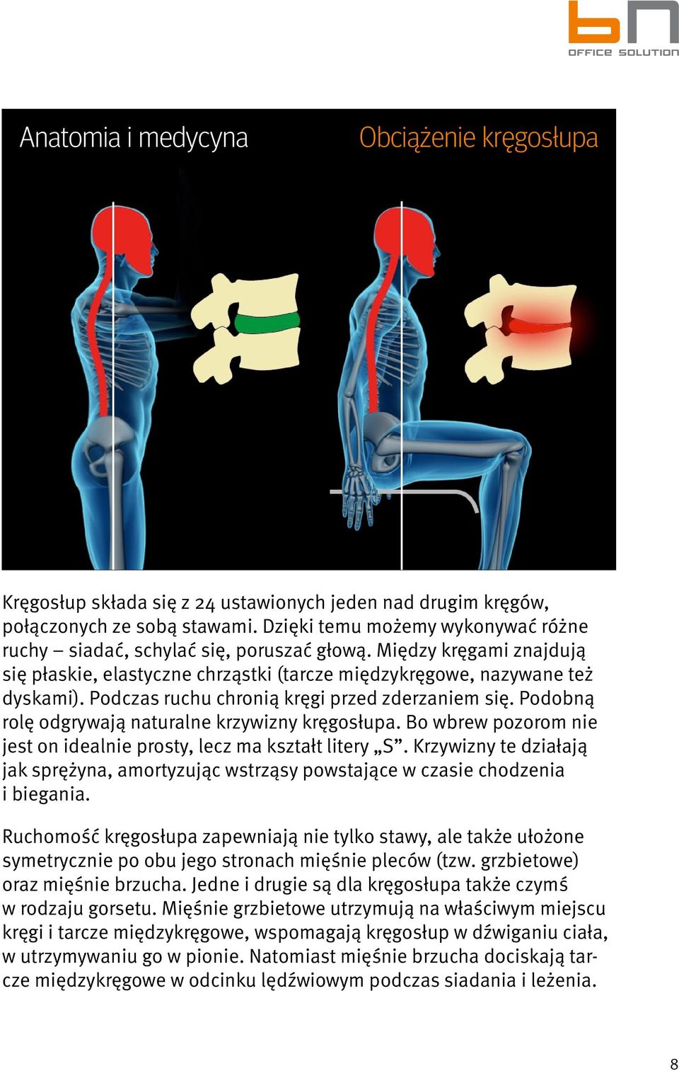 Podczas ruchu chronią kręgi przed zderzaniem się. Podobną rolę odgrywają naturalne krzywizny kręgosłupa. Bo wbrew pozorom nie jest on idealnie prosty, lecz ma kształt litery S.