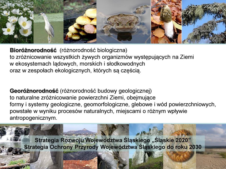 Georóżnorodność (różnorodność budowy geologicznej) to naturalne zróżnicowanie powierzchni Ziemi, obejmujące formy i systemy geologiczne,