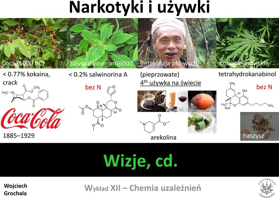 2% salwinorina A bez N Betel (Azja płd-wsch) (pieprzowate) 4