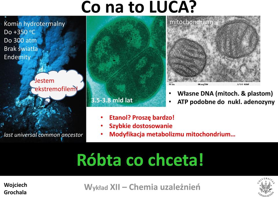 Jestem ekstremofilem! 3.5-3.8 mld lat Własne DNA (mitoch.