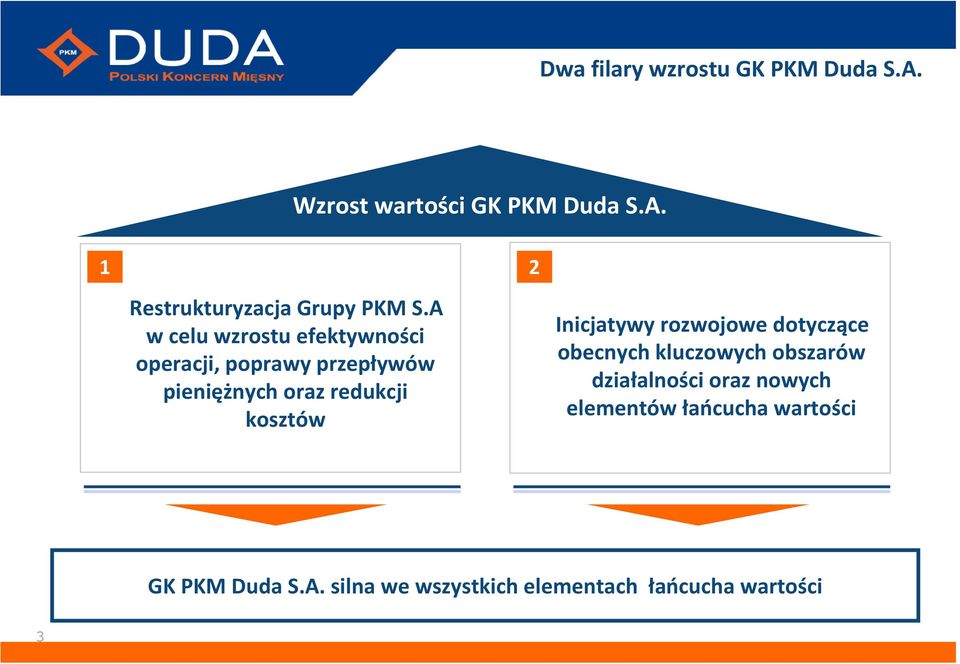 2 Inicjatywy rozwojowe dotyczące obecnych kluczowych obszarów działalności oraz nowych