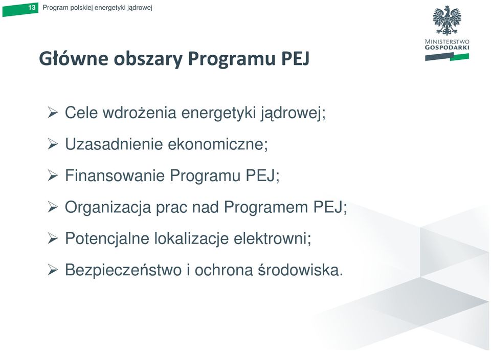 Programu PEJ; Organizacja prac nad Programem PEJ;