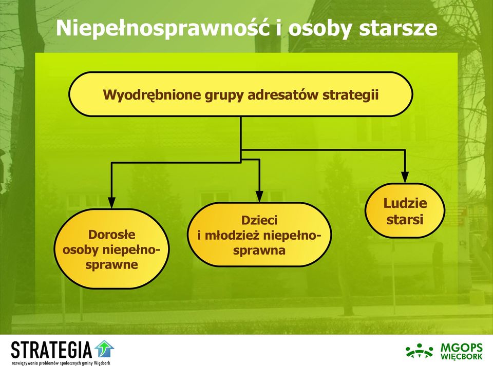 strategii Dorosłe osoby