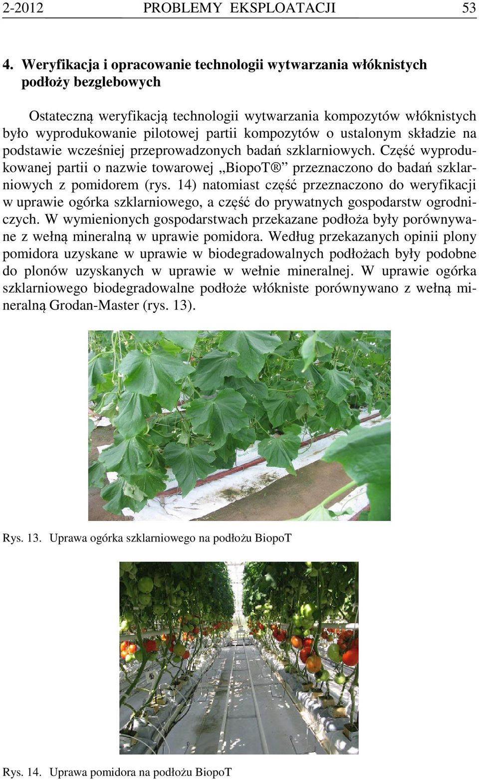 kompozytów o ustalonym składzie na podstawie wcześniej przeprowadzonych badań szklarniowych. Część wyprodukowanej partii o nazwie towarowej BiopoT przeznaczono do badań szklarniowych z pomidorem (rys.