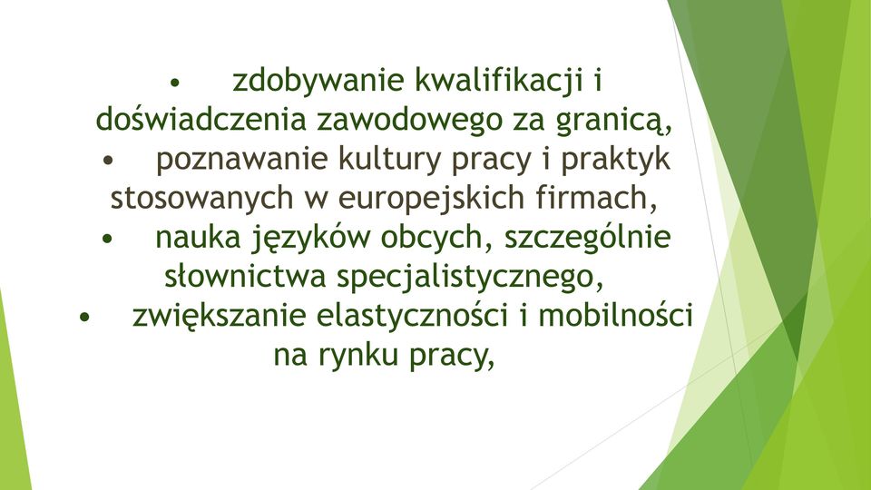 firmach, nauka języków obcych, szczególnie słownictwa