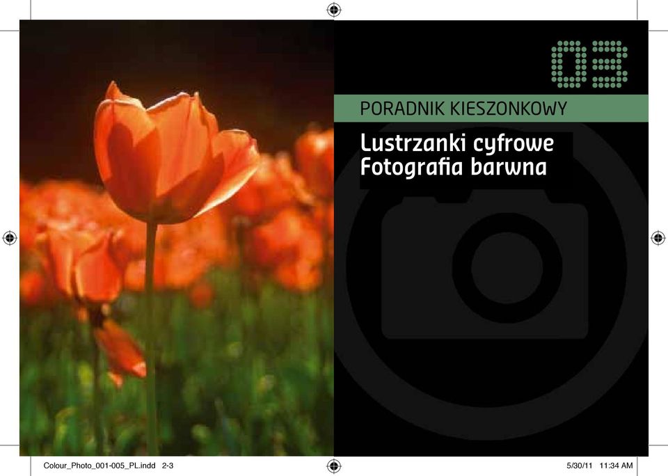 Fotografia Photography barwna