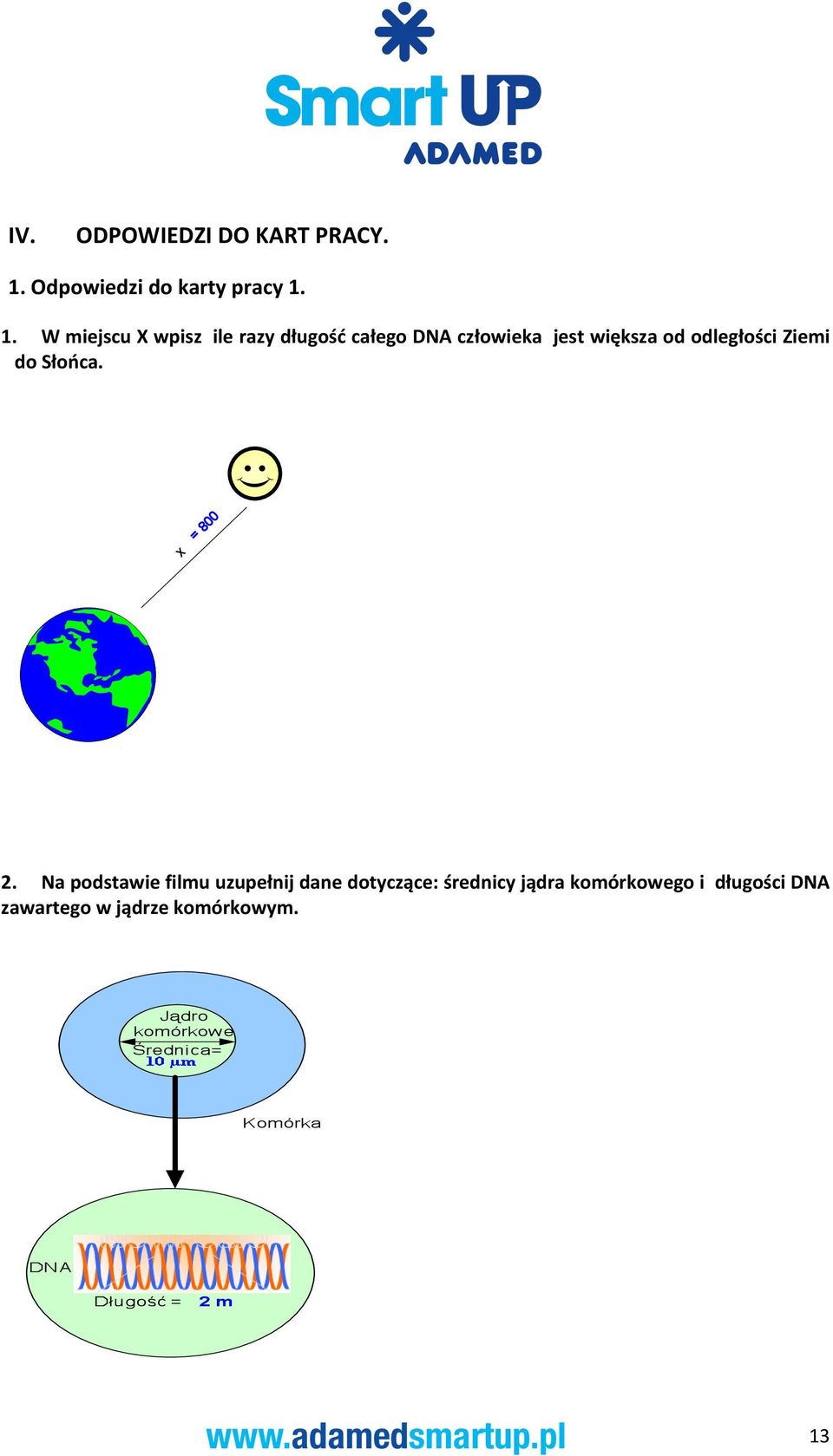 1. W miejscu X wpisz ile razy długość całego DNA człowieka jest większa